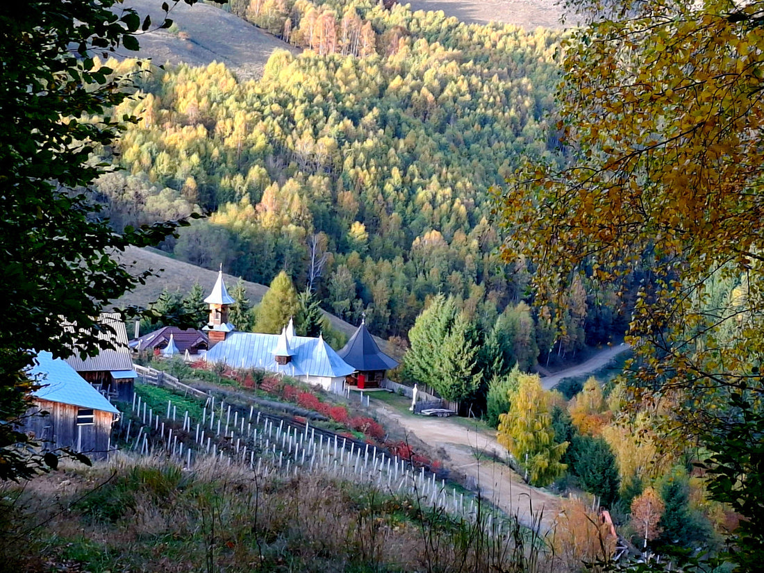 Recolta unei veri de poveste