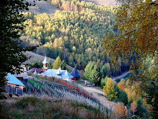 Recolta unei veri de poveste