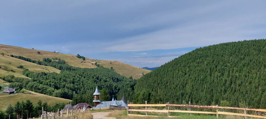 Voluntariat pe-un picior de plai, într-un minunat colț de Rai…