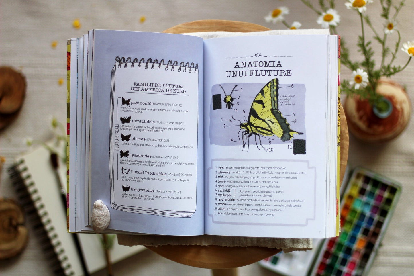 Anatomia naturii