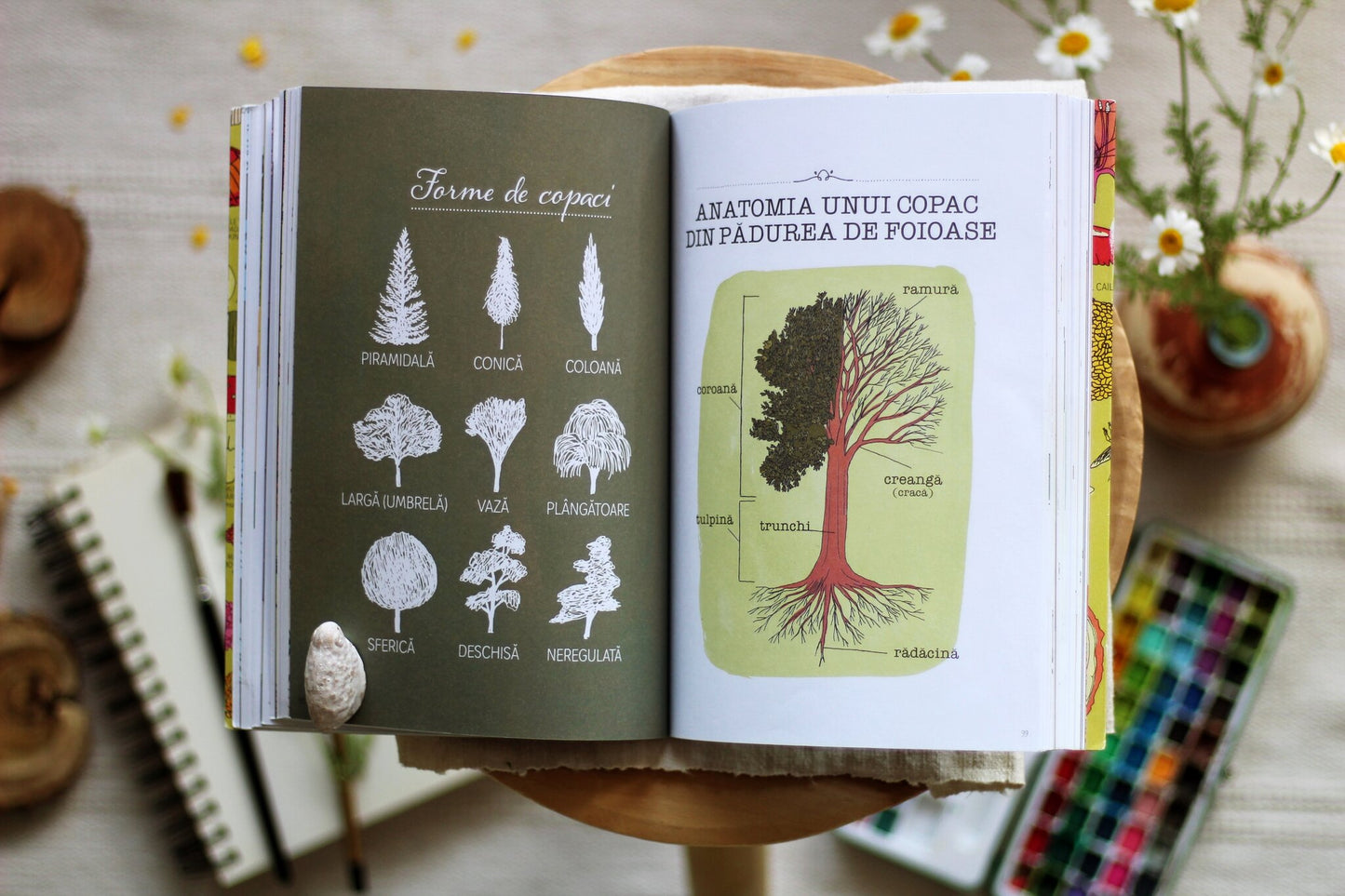 Anatomia naturii