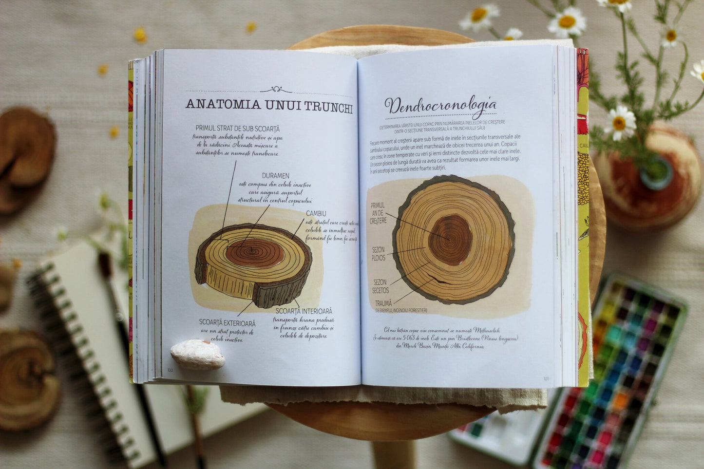Anatomia naturii
