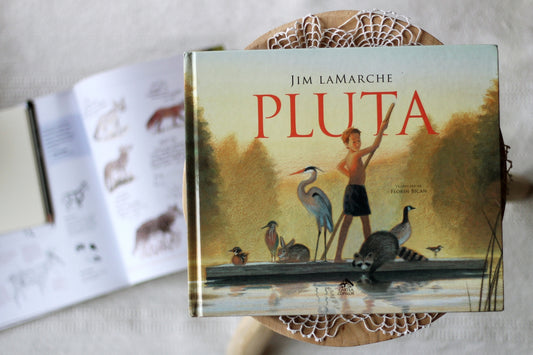 Pluta